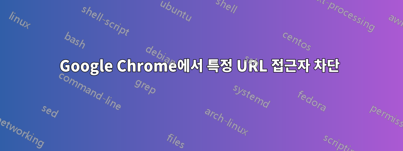 Google Chrome에서 특정 URL 접근자 차단