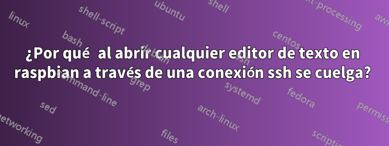 ¿Por qué al abrir cualquier editor de texto en raspbian a través de una conexión ssh se cuelga?