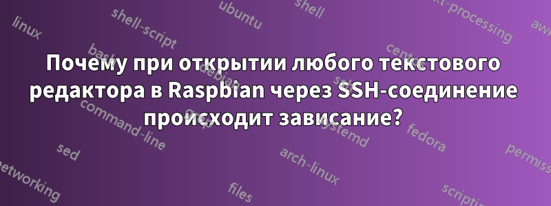 Почему при открытии любого текстового редактора в Raspbian через SSH-соединение происходит зависание?