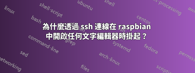 為什麼透過 ssh 連線在 raspbian 中開啟任何文字編輯器時掛起？