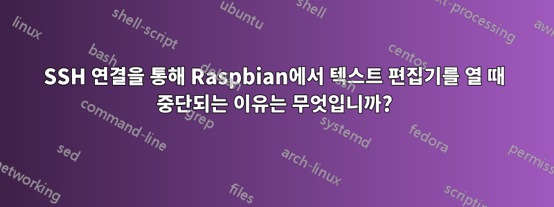 SSH 연결을 통해 Raspbian에서 텍스트 편집기를 열 때 중단되는 이유는 무엇입니까?