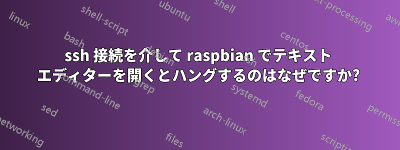 ssh 接続を介して raspbian でテキスト エディターを開くとハングするのはなぜですか?