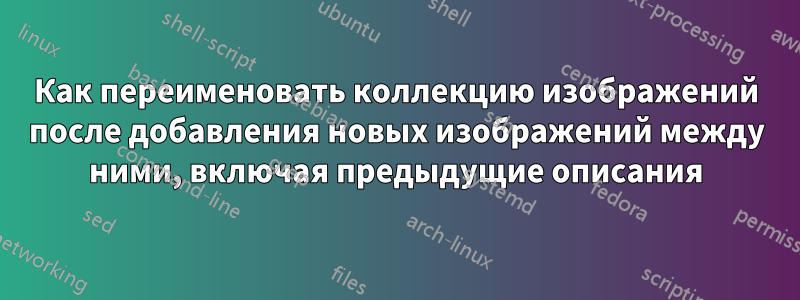 Как переименовать коллекцию изображений после добавления новых изображений между ними, включая предыдущие описания