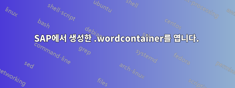 SAP에서 생성한 .wordcontainer를 엽니다.