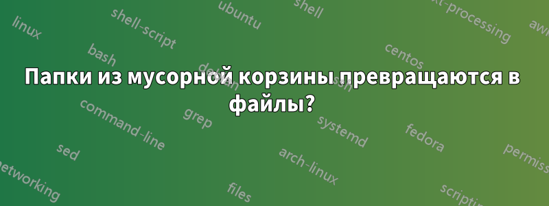 Папки из мусорной корзины превращаются в файлы?