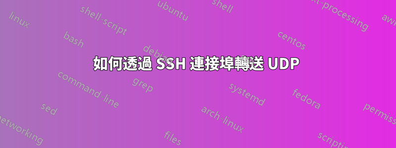 如何透過 SSH 連接埠轉送 UDP