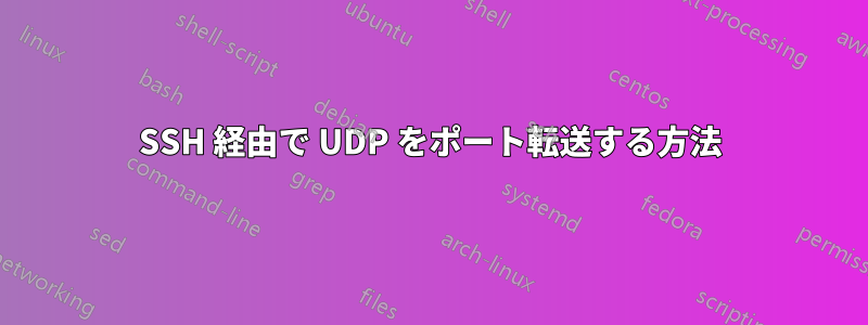 SSH 経由で UDP をポート転送する方法