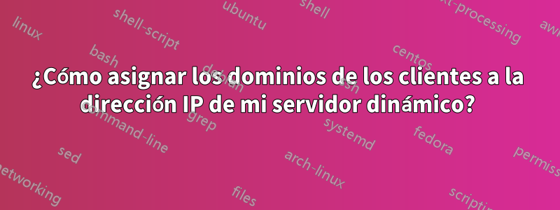 ¿Cómo asignar los dominios de los clientes a la dirección IP de mi servidor dinámico?