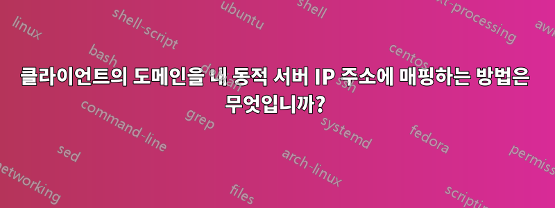 클라이언트의 도메인을 내 동적 서버 IP 주소에 매핑하는 방법은 무엇입니까?