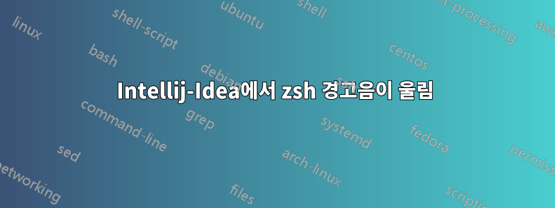 Intellij-Idea에서 zsh 경고음이 울림