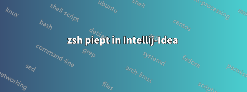 zsh piept in Intellij-Idea