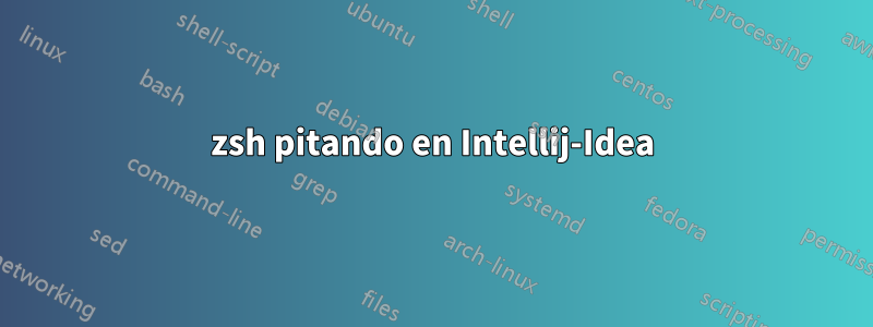 zsh pitando en Intellij-Idea