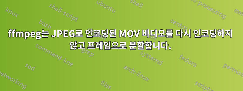 ffmpeg는 JPEG로 인코딩된 MOV 비디오를 다시 인코딩하지 않고 프레임으로 분할합니다.