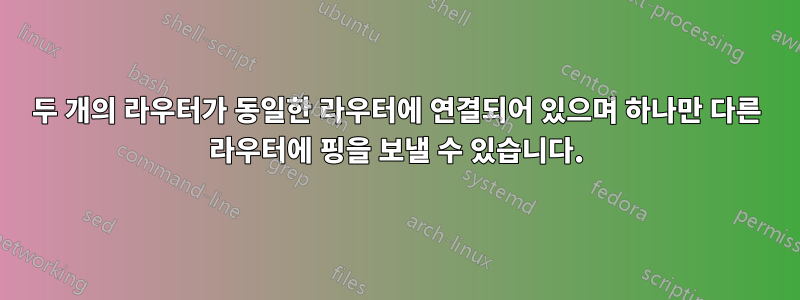 두 개의 라우터가 동일한 라우터에 연결되어 있으며 하나만 다른 라우터에 핑을 보낼 수 있습니다.