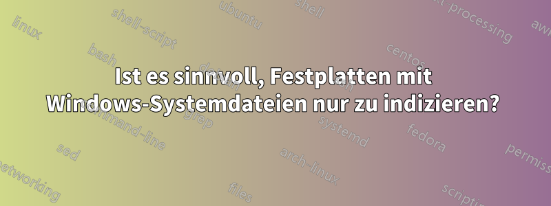 Ist es sinnvoll, Festplatten mit Windows-Systemdateien nur zu indizieren?