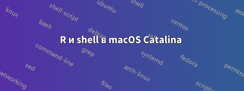 R и shell в macOS Catalina