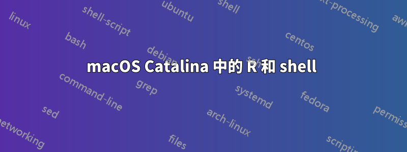 macOS Catalina 中的 R 和 shell