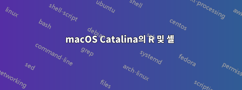 macOS Catalina의 R 및 셸