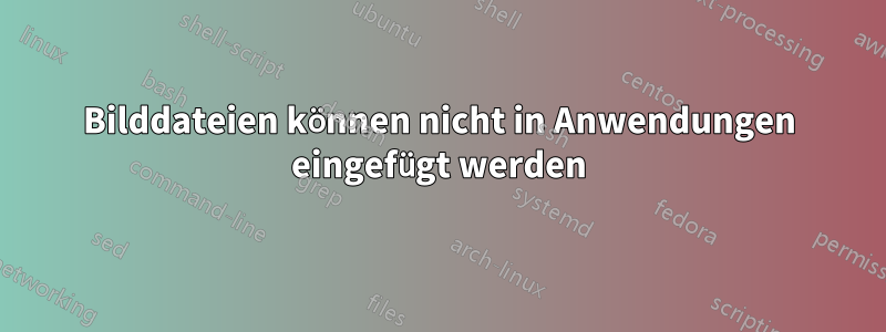 Bilddateien können nicht in Anwendungen eingefügt werden