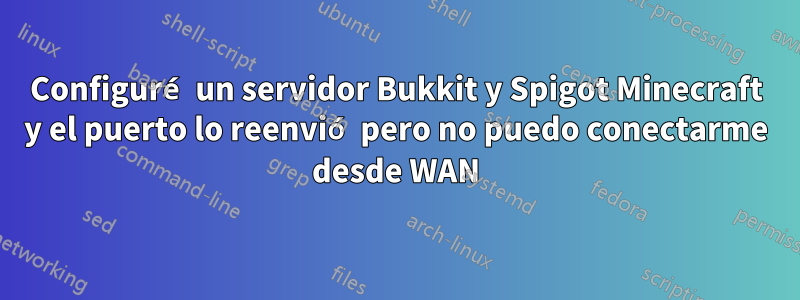 Configuré un servidor Bukkit y Spigot Minecraft y el puerto lo reenvió pero no puedo conectarme desde WAN