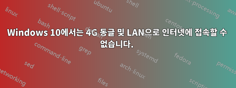 Windows 10에서는 4G 동글 및 LAN으로 인터넷에 접속할 수 없습니다.