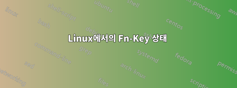 Linux에서의 Fn-Key 상태