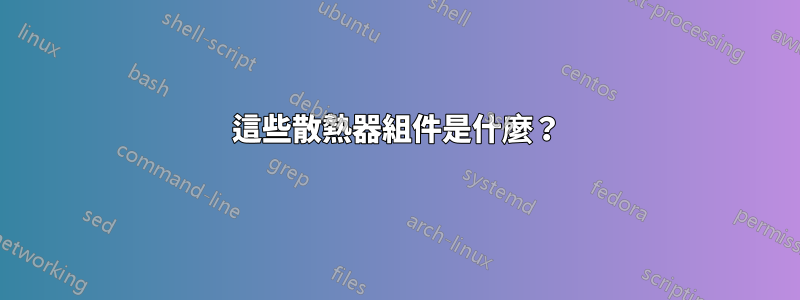 這些散熱器組件是什麼？