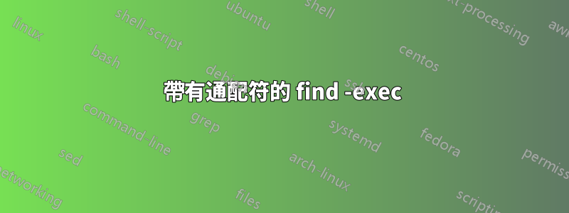 帶有通配符的 find -exec