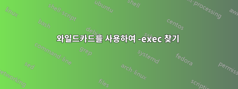 와일드카드를 사용하여 -exec 찾기