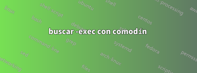 buscar -exec con comodín