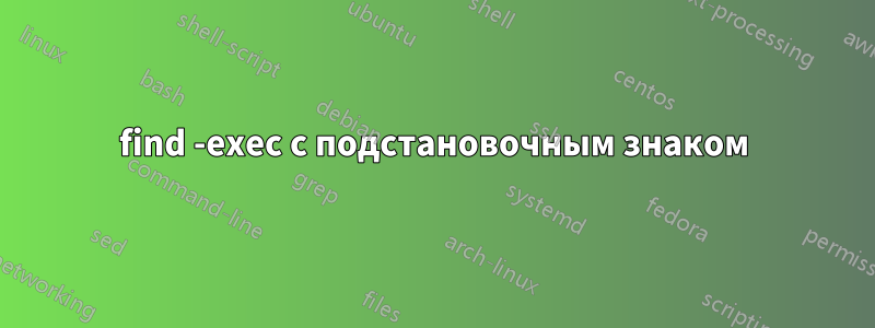 find -exec с подстановочным знаком