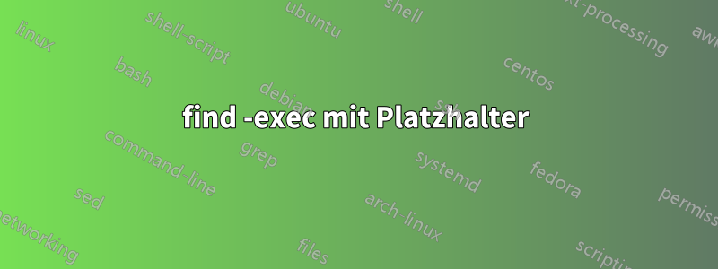 find -exec mit Platzhalter