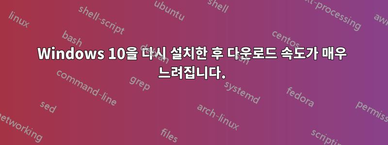 Windows 10을 다시 설치한 후 다운로드 속도가 매우 느려집니다.