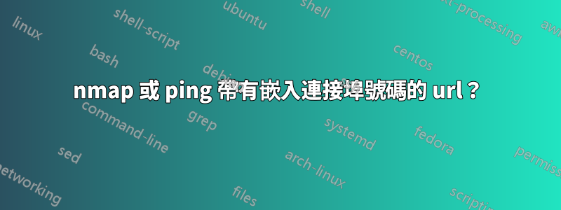 nmap 或 ping 帶有嵌入連接埠號碼的 url？