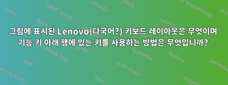 그림에 표시된 Lenovo(다국어?) 키보드 레이아웃은 무엇이며 기능 키 아래 행에 있는 키를 사용하는 방법은 무엇입니까?