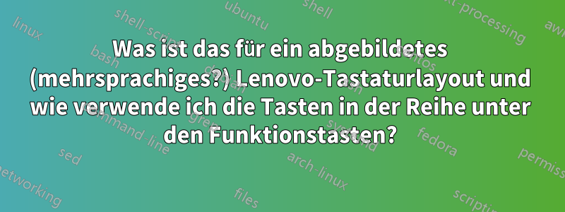 Was ist das für ein abgebildetes (mehrsprachiges?) Lenovo-Tastaturlayout und wie verwende ich die Tasten in der Reihe unter den Funktionstasten?