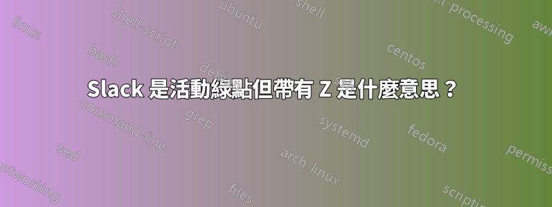 Slack 是活動綠點但帶有 Z 是什麼意思？