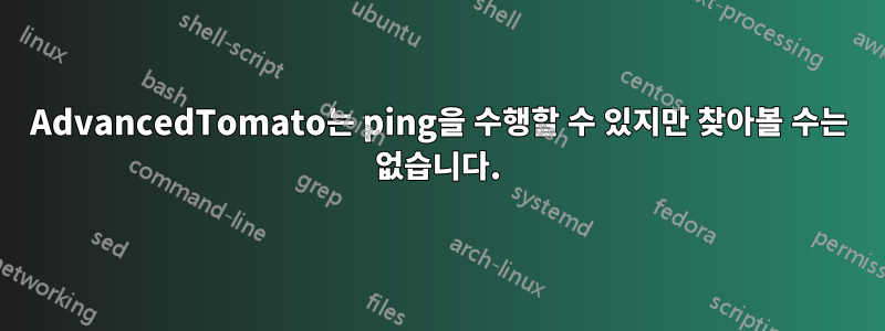 AdvancedTomato는 ping을 수행할 수 있지만 찾아볼 수는 없습니다.