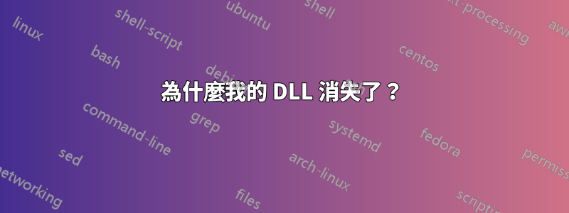 為什麼我的 DLL 消失了？