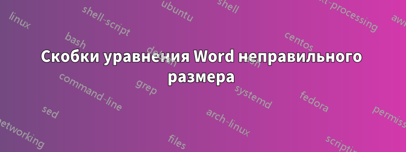 Скобки уравнения Word неправильного размера