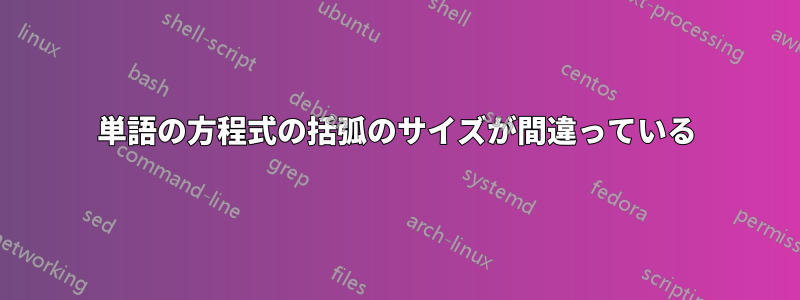 単語の方程式の括弧のサイズが間違っている