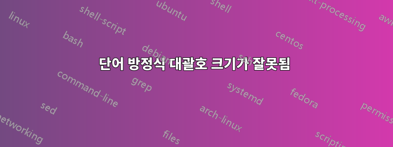 단어 방정식 대괄호 크기가 잘못됨