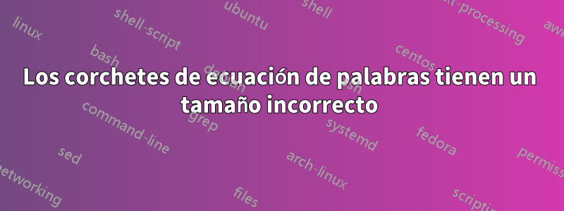 Los corchetes de ecuación de palabras tienen un tamaño incorrecto