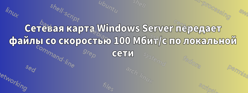 Сетевая карта Windows Server передает файлы со скоростью 100 Мбит/с по локальной сети