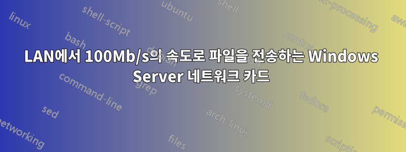 LAN에서 100Mb/s의 속도로 파일을 전송하는 Windows Server 네트워크 카드