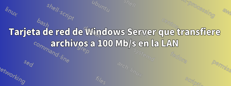 Tarjeta de red de Windows Server que transfiere archivos a 100 Mb/s en la LAN