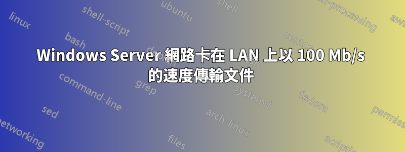 Windows Server 網路卡在 LAN 上以 100 Mb/s 的速度傳輸文件