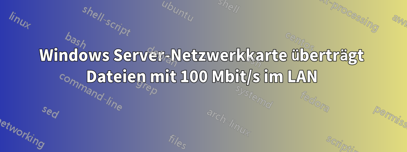 Windows Server-Netzwerkkarte überträgt Dateien mit 100 Mbit/s im LAN