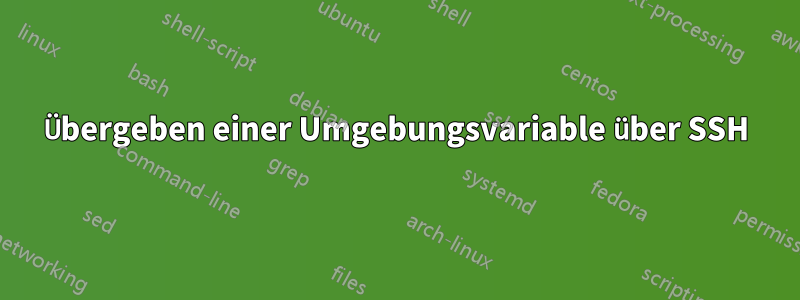 Übergeben einer Umgebungsvariable über SSH