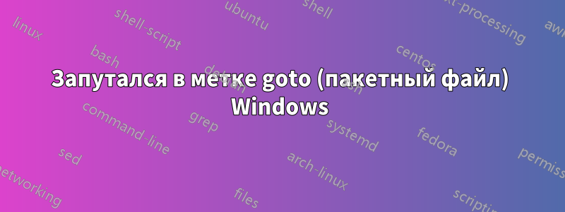 Запутался в метке goto (пакетный файл) Windows